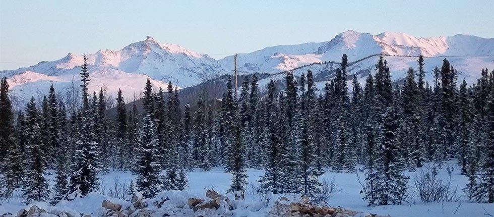 Denali Touch Of Wilderness B&B Healy Exteriör bild